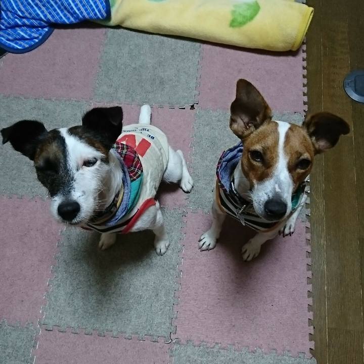 9916b125 5af7 4074 8f40 e48e4fe3be14 1535366171990