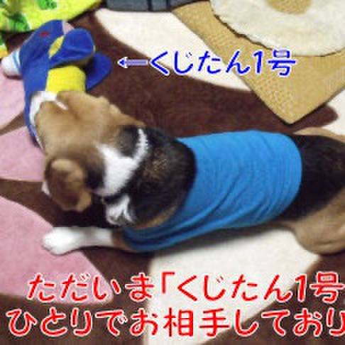 9916daf5 2863 4d87 bf4f 79e1a527a598 1706311304763