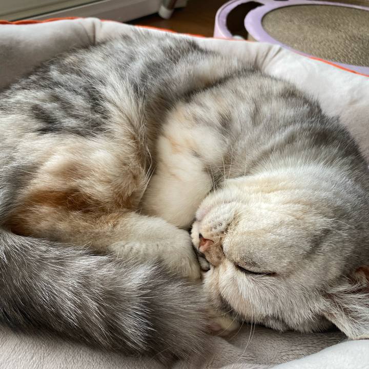 9916ee89 f370 43b1 be9b f6ecc59edc04 1765000093679