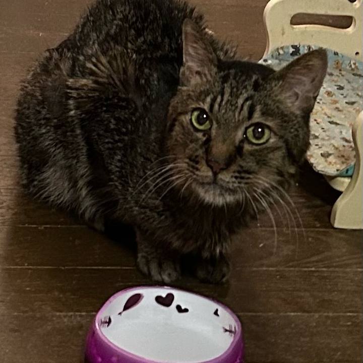 991730e0 f73c 4de7 96c2 2719634223d1 1776552970369