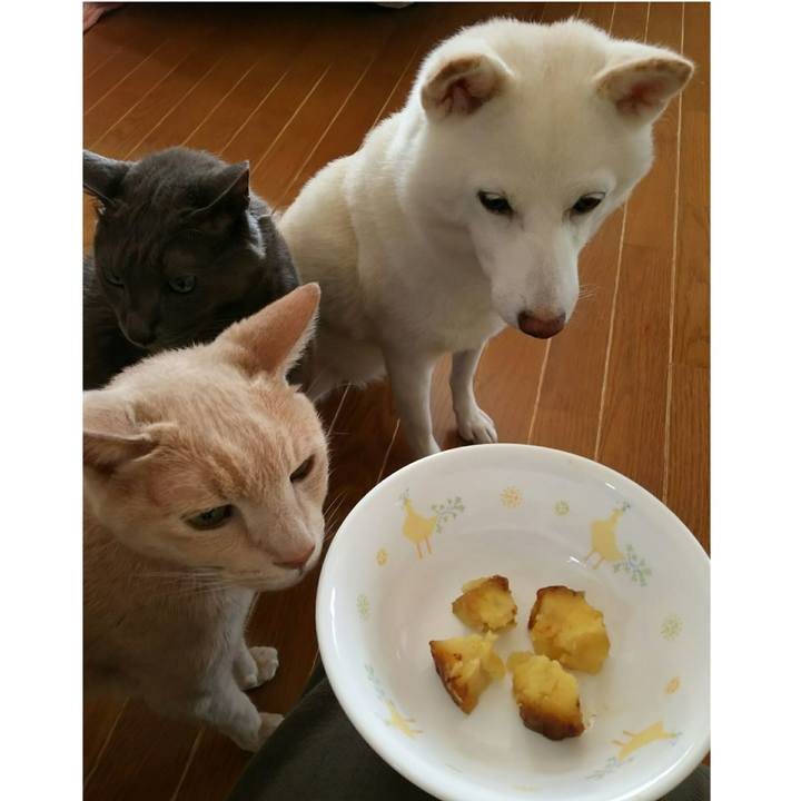 99176099 efd8 4fe1 98f8 aa7ffe17ebd4 1600663239807