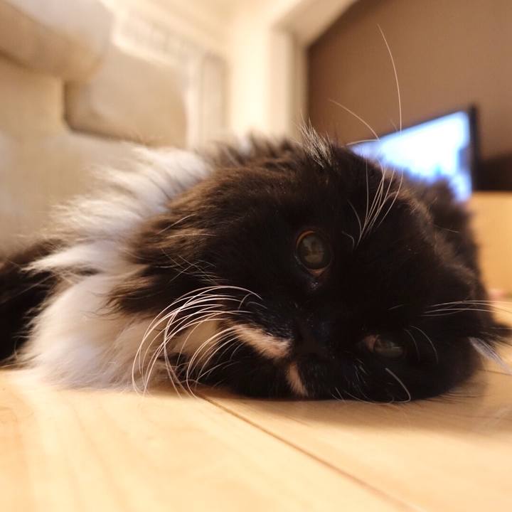 99179580 6af6 474d af82 3ff2c9c6d8e1 1539095443051