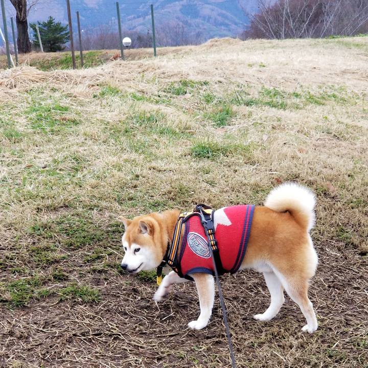 9917ac99 247d 43fb 84ce 8e12193c4915 1607410005919