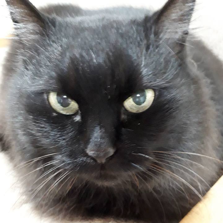 9917bdf4 d726 426e bfae 7e2949b7bc56 1520710116272