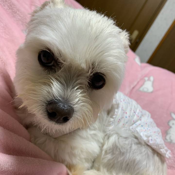 9917c91d 34aa 4a35 b52c 2b9b713e7d36 1603976810133