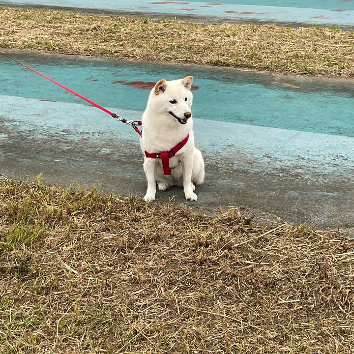 991812fb d1da 48d4 9f91 e18805e9111d 1654877647021