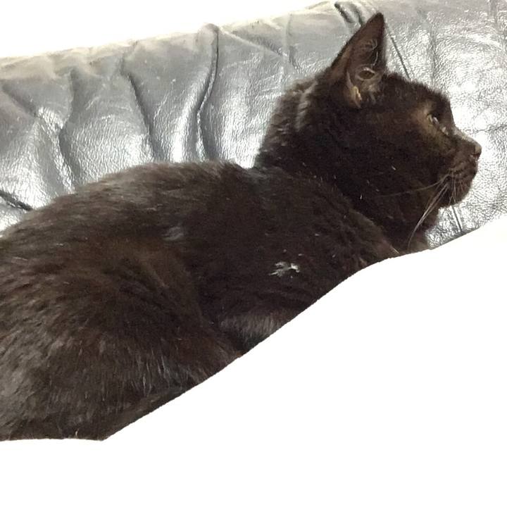 99183d16 1369 44e5 ab4d c3cd16c173bf 1543052992952