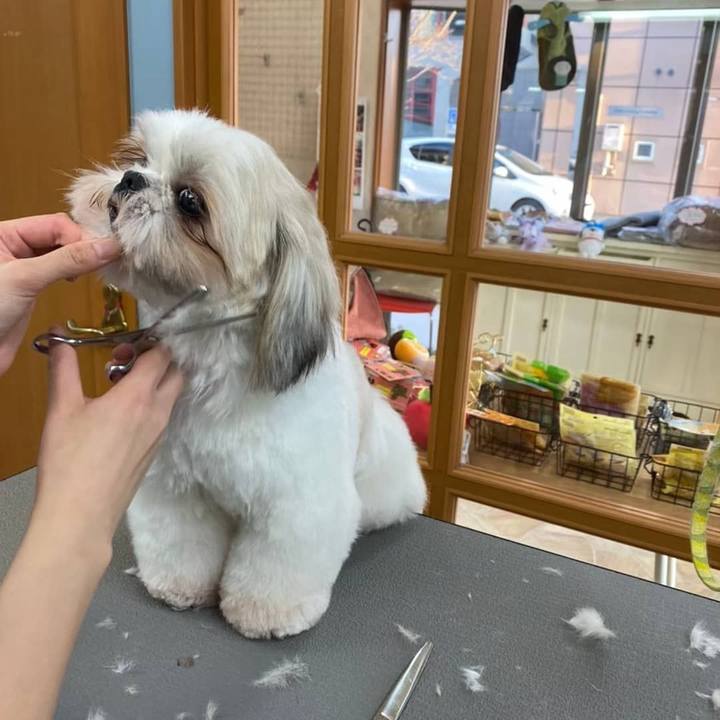 99186d2e 44af 4534 8998 895f9d5aa067 1618399306375