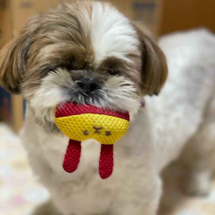 9918c161 37b8 4b3f 8228 a8fc74c94446 1627383144048