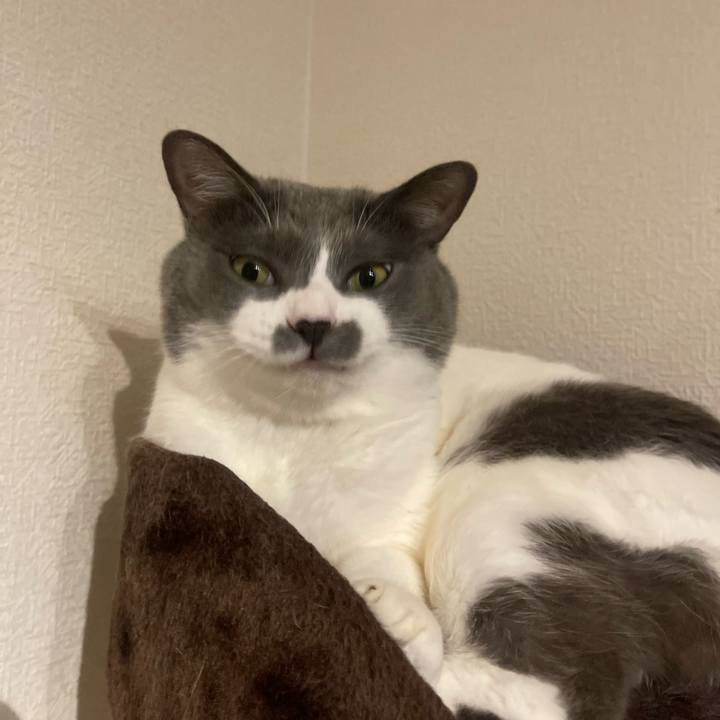 991917e9 8709 4b16 afbf c222cae9abb3 1756119854914