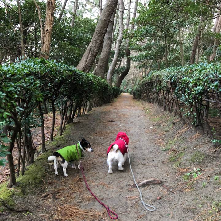 991952cf bfda 46a0 b0e5 ee6f178e6f87 1547167124421