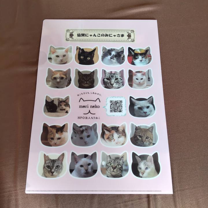 9919baeb 1d46 4b51 8cae a037664c3573 1641786037588