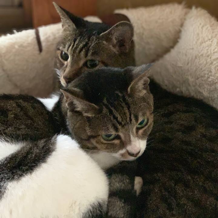 9919c8d6 0bf7 4bd7 a809 3d67bc0c14c6 1539308305198