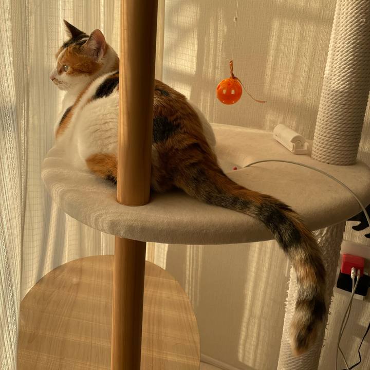 991a236c 3869 4573 8d2f ec0798853043 1706428019603