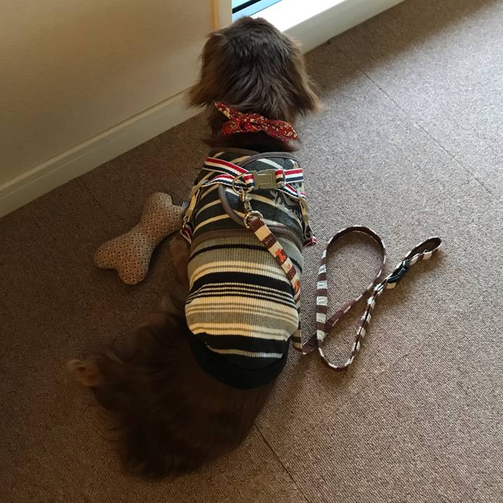 991a27ca 416a 40c5 aef7 ca8a487f54bd 1598302090949