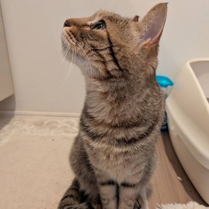 991a28f1 6bc4 4651 bdd2 472c064658ef 1769728316926