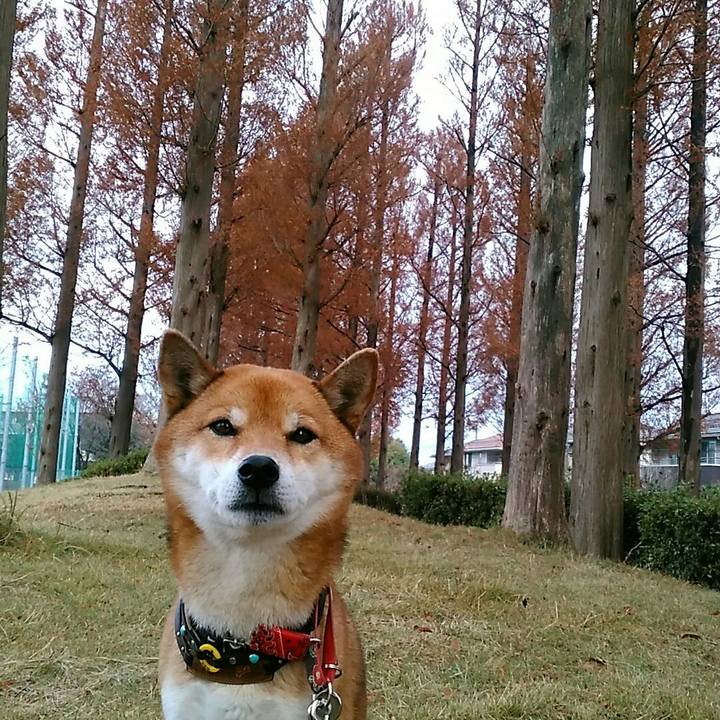 991a4fd3 6e46 4ebd b238 d10d3e99e980 1575935934840