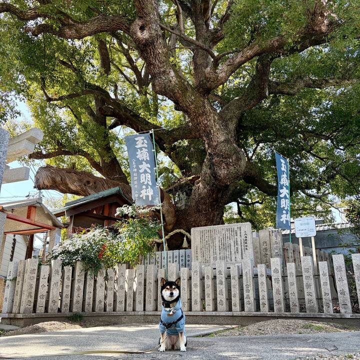 991ab7cc d7d9 4935 b93e 00b108da2b91 1772421960808