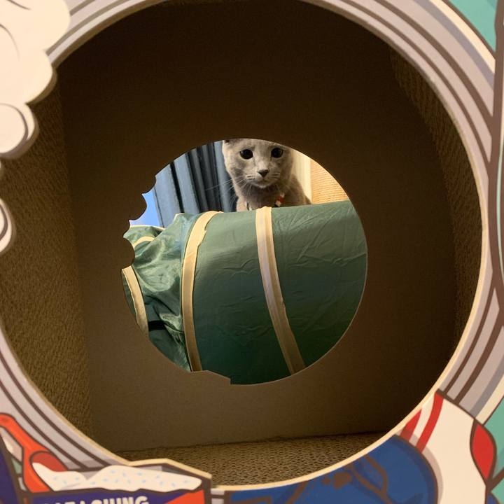 991acb38 68a1 4c14 862d 2f5f536591f7 1665955512832