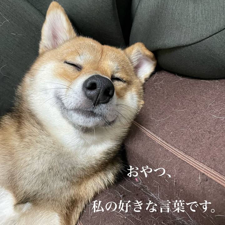 991acf85 afff 42f6 af8c a2840c1ea180 1666391915935