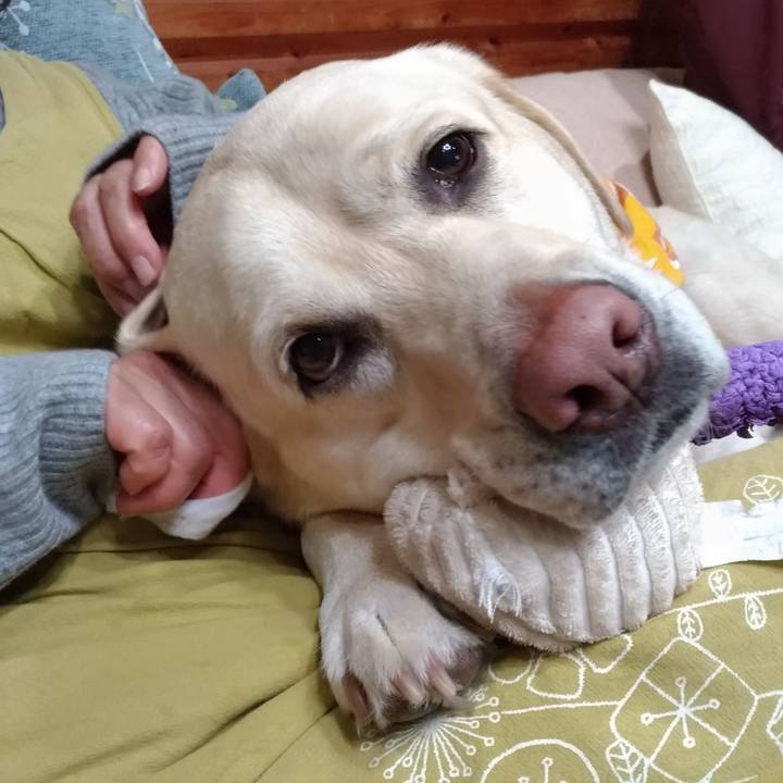 991af6b4 e6ff 4bf6 b27c 5da19dbc9b6c 1610801872918