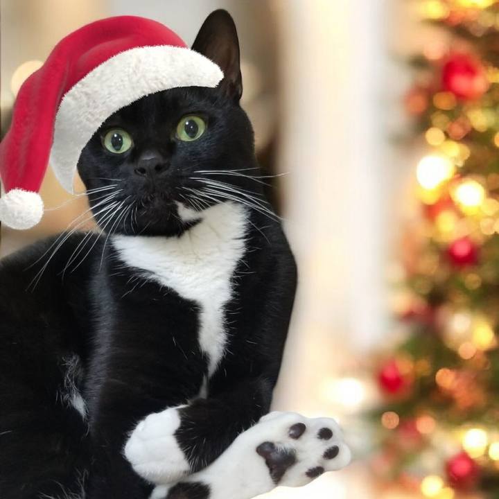 991b3c32 cb5b 45c6 a11f 70e7256001e9 1766667194454