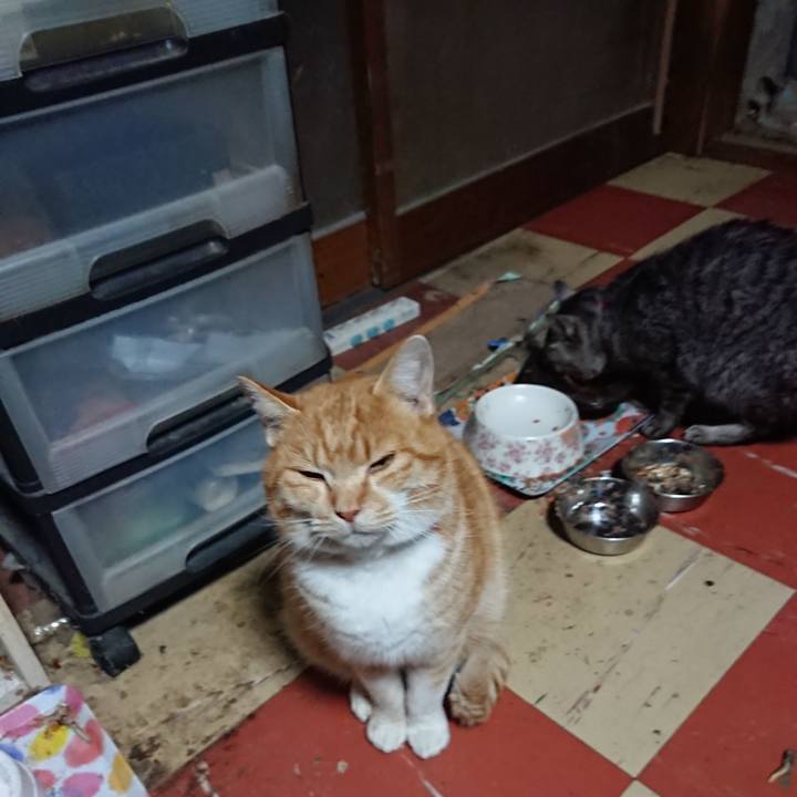 991bb119 8f40 4598 a0cd c4e28e90d77f 1578340334990