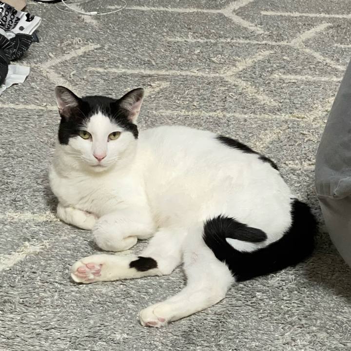 991bc176 b2a4 4310 b206 f750be57c224 1644241964897