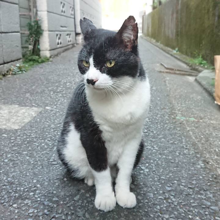 991bd0ec 9183 4e4a 8a13 4499651141ce 1693567433030