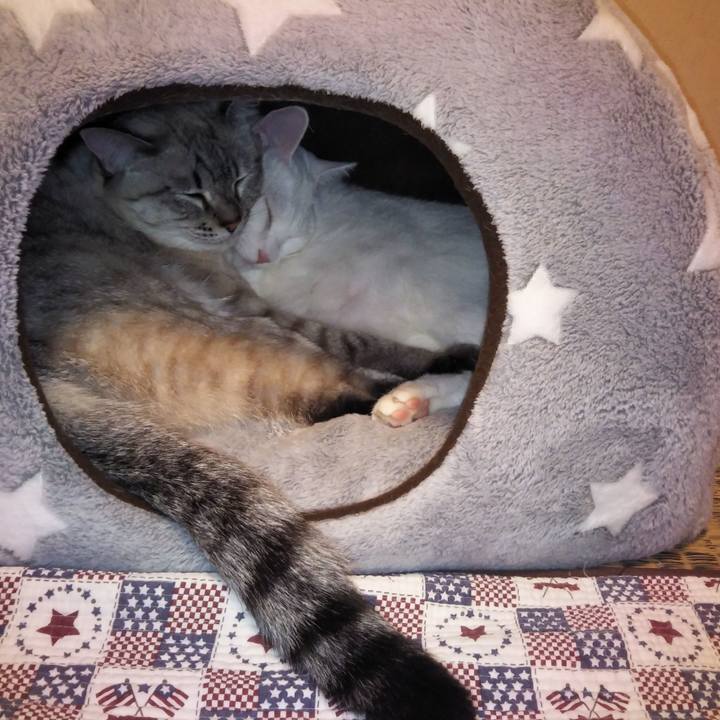 991be3a2 d0eb 4462 a54b a2da1d12e73f 1540820878312