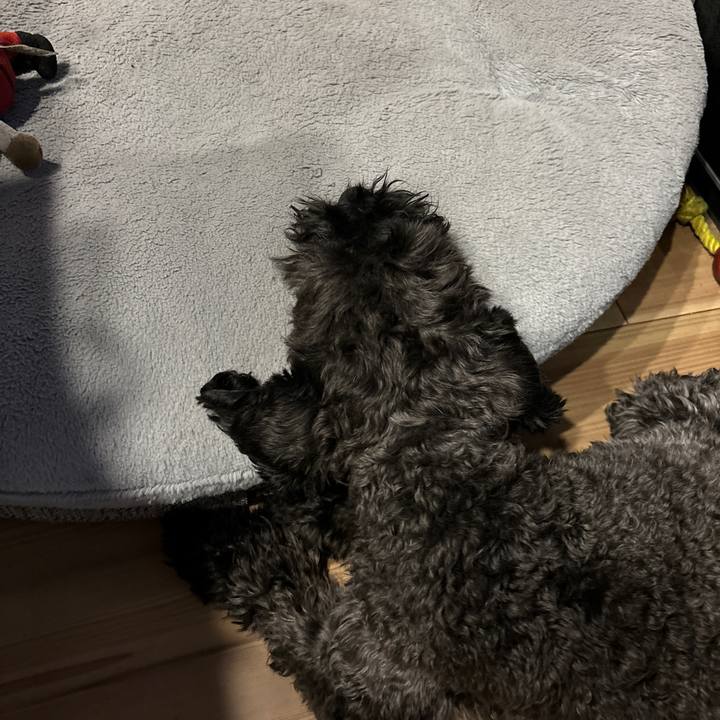 991c0fb1 639c 4350 8308 43fa697a59b6 1711802844611