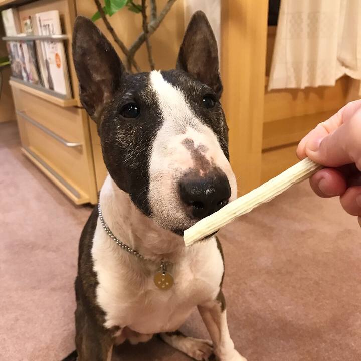 991c58c3 31d3 4c5a 95ec d687e0e52673 1525260271134