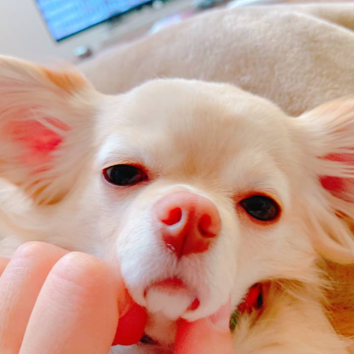 991c59ed 7ade 4f2c b7cb 54d8d673d46c 1644918532159