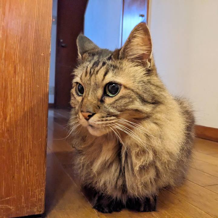 991c5d50 351c 450b a51a 82c5a67afd74 1759272907052