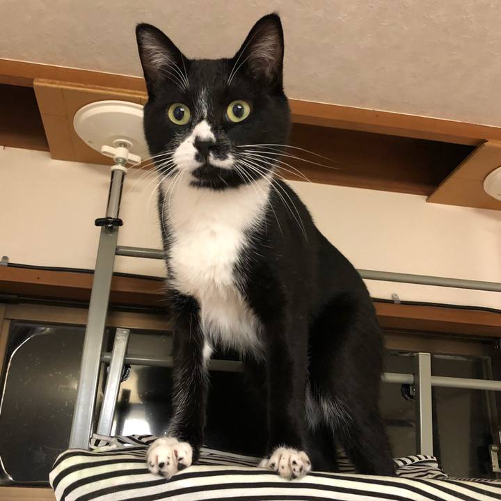 991c886e 5ad1 4595 8a21 8112c7697ac9 1541130532900