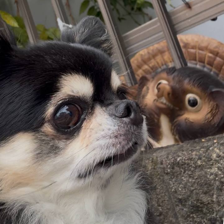 991cab2e 2111 4ccb b562 f884acaee551 1758347286502