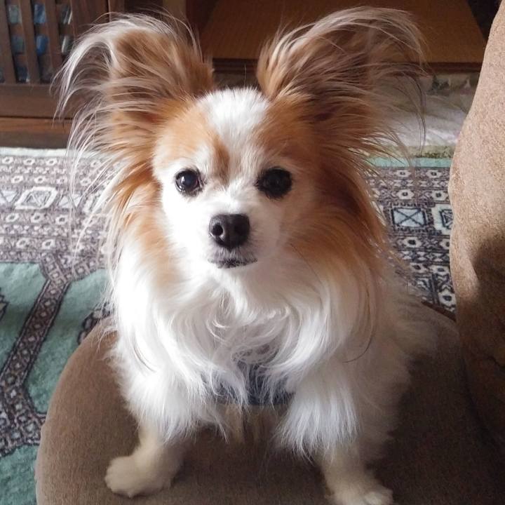 991cc1ba 1cc2 4792 9fac ede604edb6fa 1550571672160