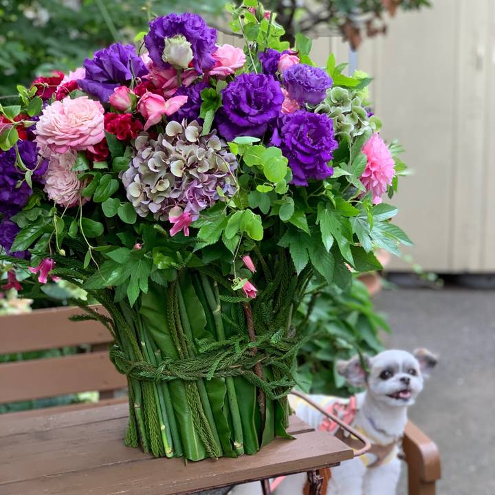 991cc4f4 9475 4b7e 8bbd 90a47e040154 1563779644459