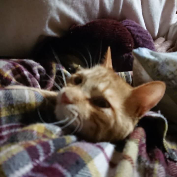 991cc61f 9478 4723 978b bccb867b5535 1643922223564