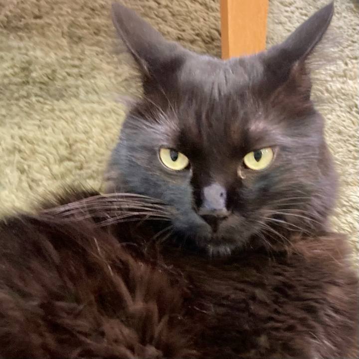 991cd825 40c9 461a 913e fa613036d423 1758000431455