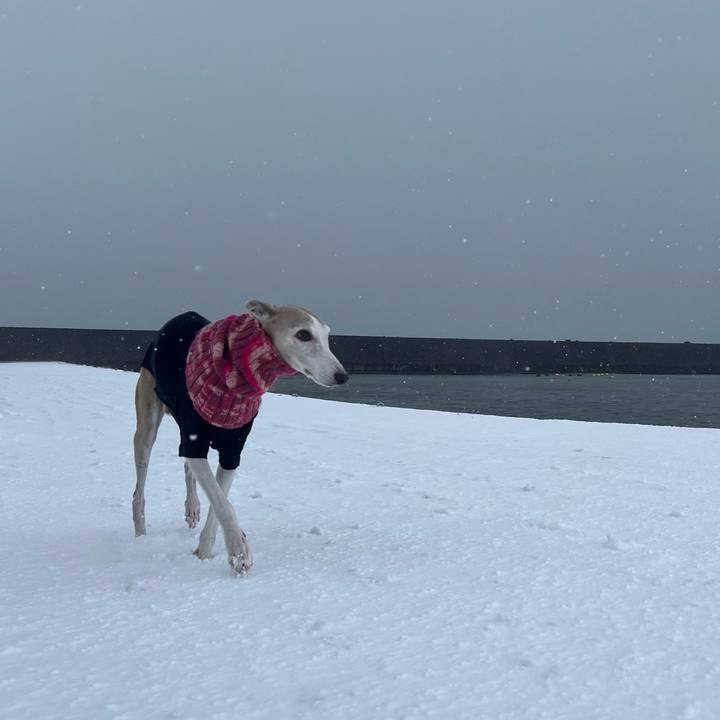 991cdb22 1aff 4691 b117 dd797d66a83d 1768983849297