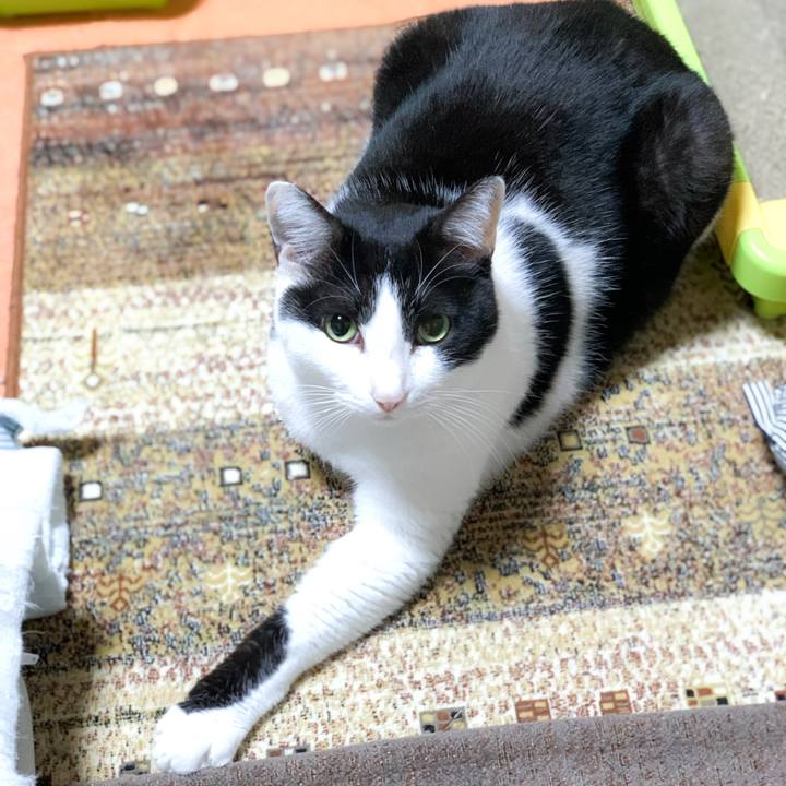 991ce448 c355 4a43 9f1e ef3b3b637026 1579227877127