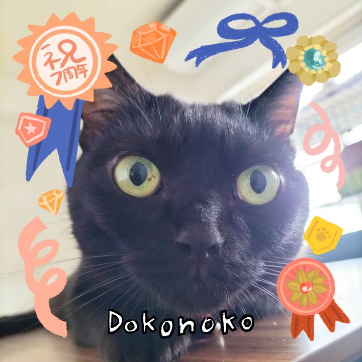 991ce55e 5dfe 4c1d b5d5 38aa1d008f32 1685935934888