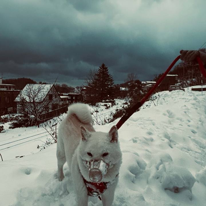 991ced52 e9c2 45b4 918b 528b26904b8f 1766357468935