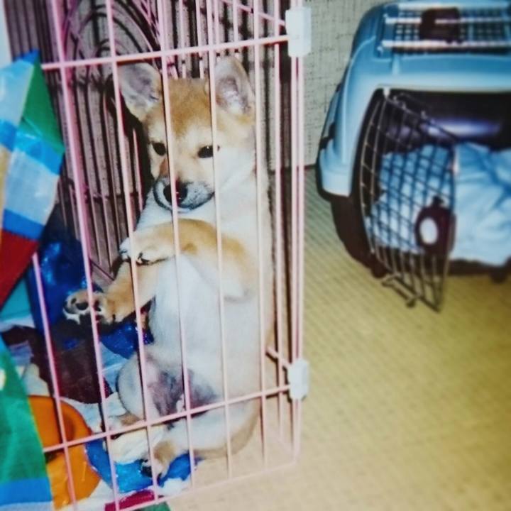 991cf2c5 d706 4e57 aa7c ca5db91ce86d 1558011295487