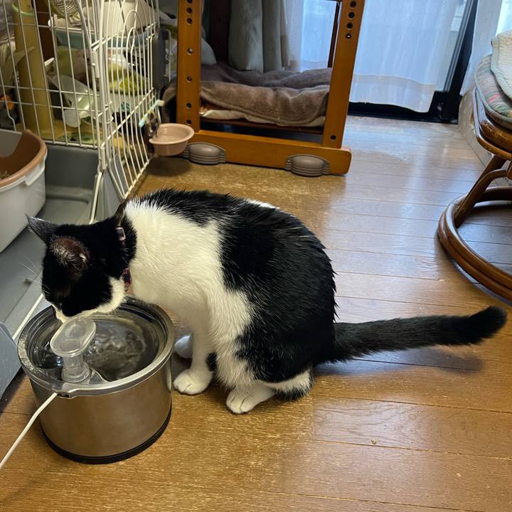 991d0d52 b982 4ca4 8c5a b07bcf684b1b 1758754172556