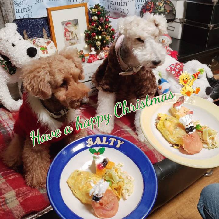 991d2b3f b851 46d5 8fce 91eadbc467b7 1545653309472