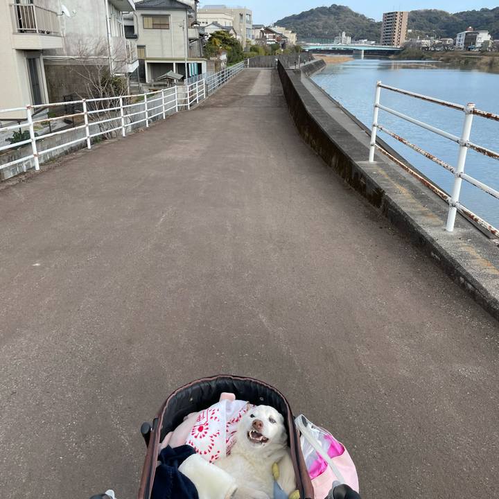 991d5c01 780c 4106 b9d2 0771cac8e5d0 1678011328738