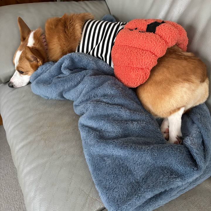 991d6267 2af8 404f 8c4f b2da1a551bbf 1761889338656