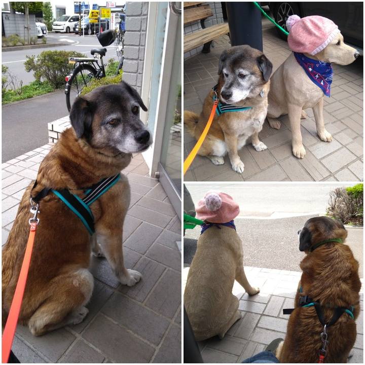 991d7fa5 5f9e 466d b532 1bebee39e26b 1557723736356